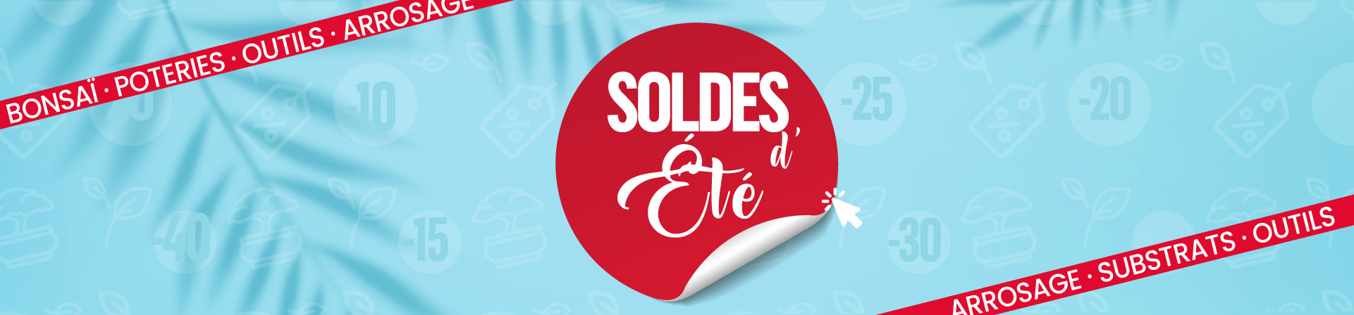 Soldes bonsaï