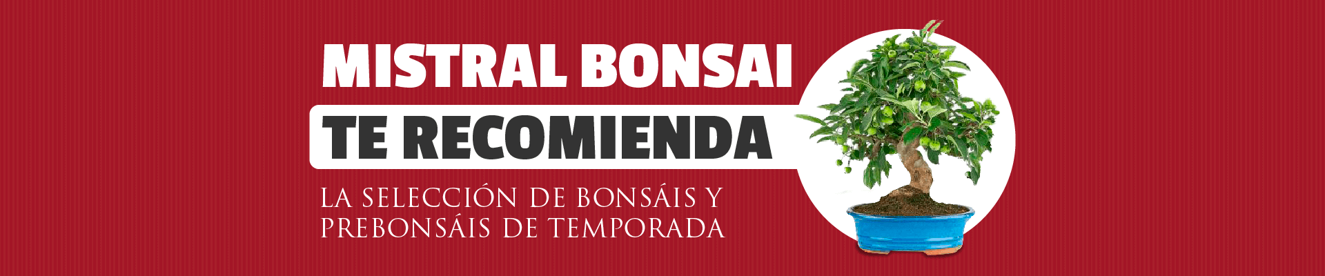 https://www.mistralbonsai.com/tienda/es/73-mistral-bonsai-te-recomienda