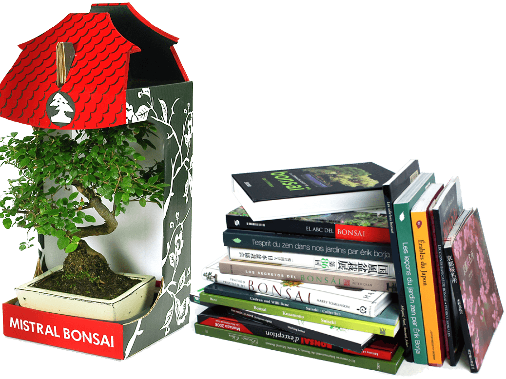 The bonsai online shop
