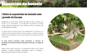 exposicion de bonsais Mistral Bonsai