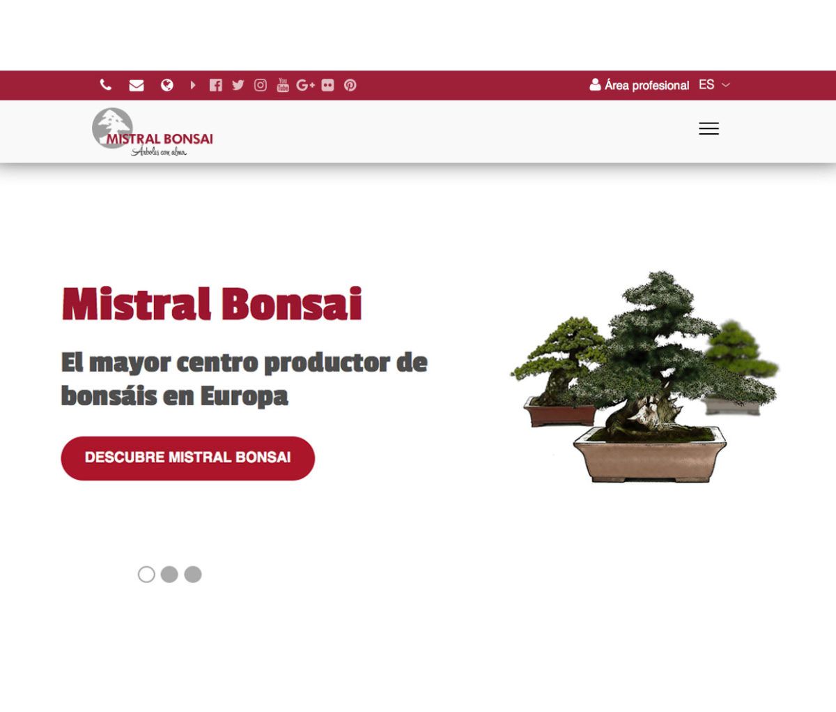 Mistral Bonsai lanza su nueva web responsive