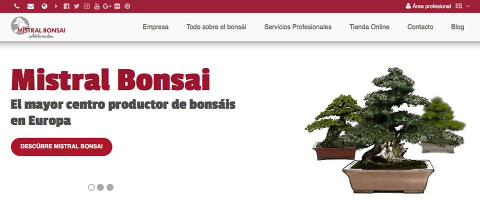 Mistral Bonsai lance un nouveau site web réactif.