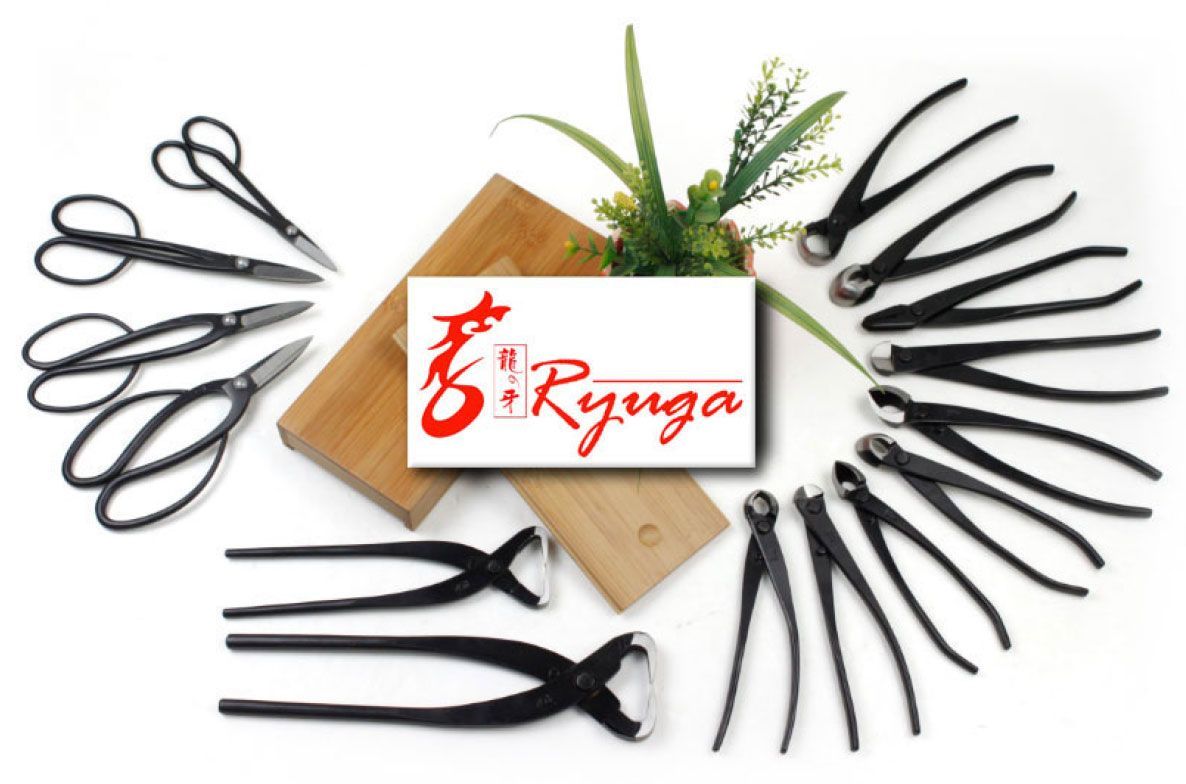 RYUGA Bonsai Professionale Attrezzo ACCIAIO INOX Japanqualitaet+