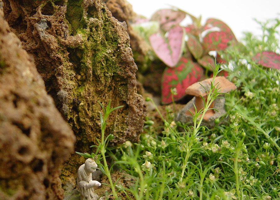 Feng-Lui, un paisaje en miniatura