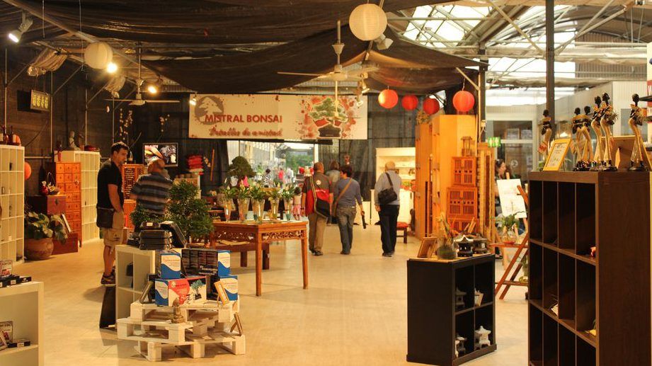 tienda_mistralbonsai_mundo_bonsái