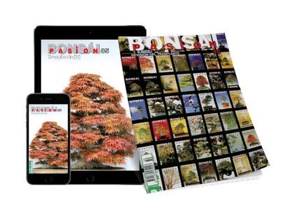 revista digital Bonsai Pasión