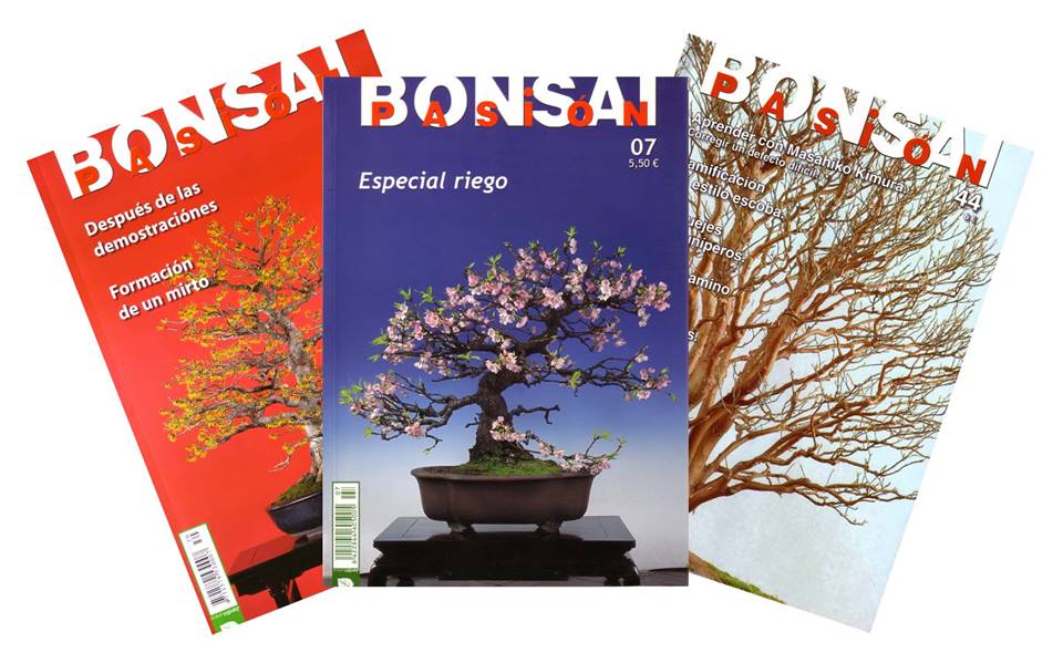 Bonsai Pasión, la revista del mundo del bonsái