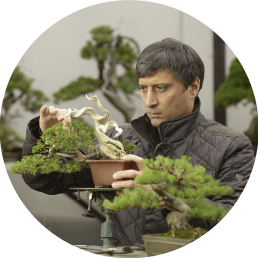 Pitel Valeriy. IX Jornada Asociaciones Mistral Bonsai