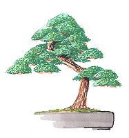 Bonsai paint