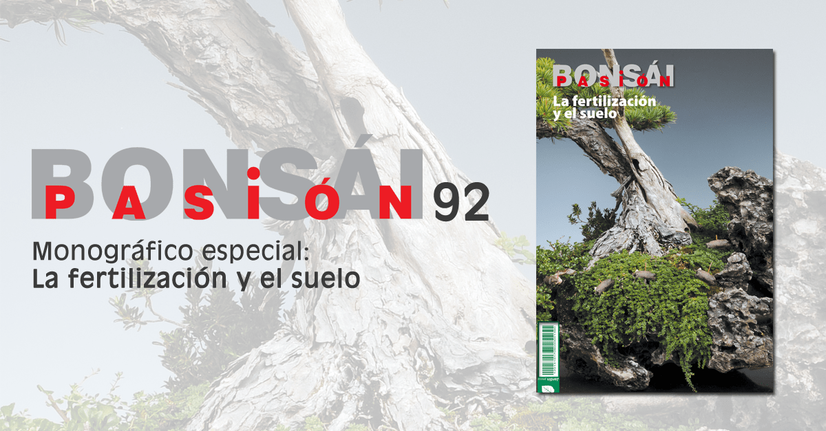 bonsai pasion 92
