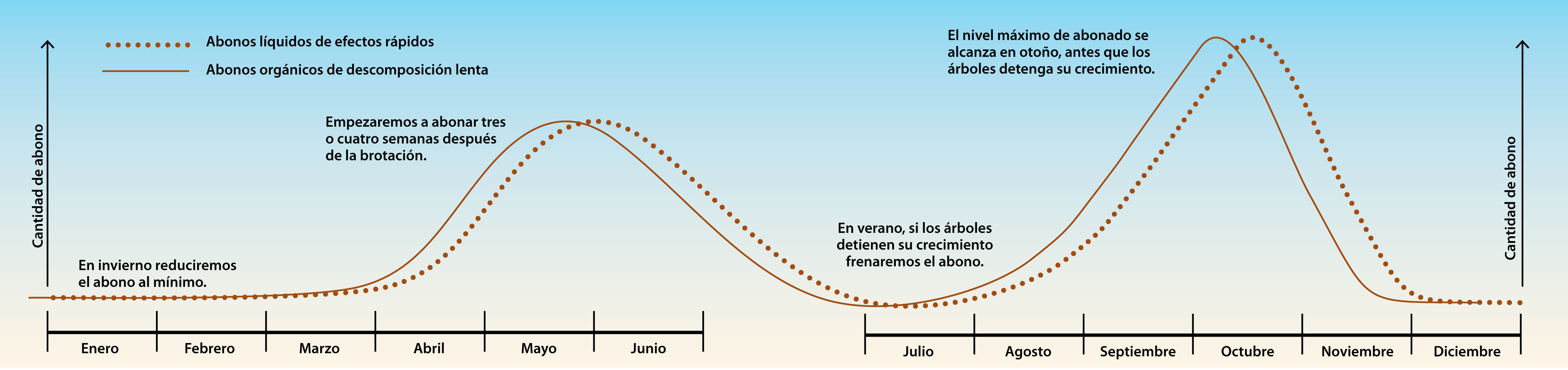 calendario abonado bonsai