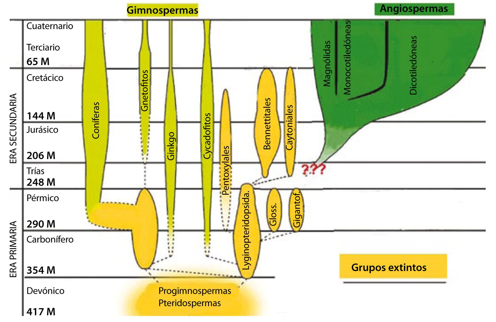 cronograma historia plantas