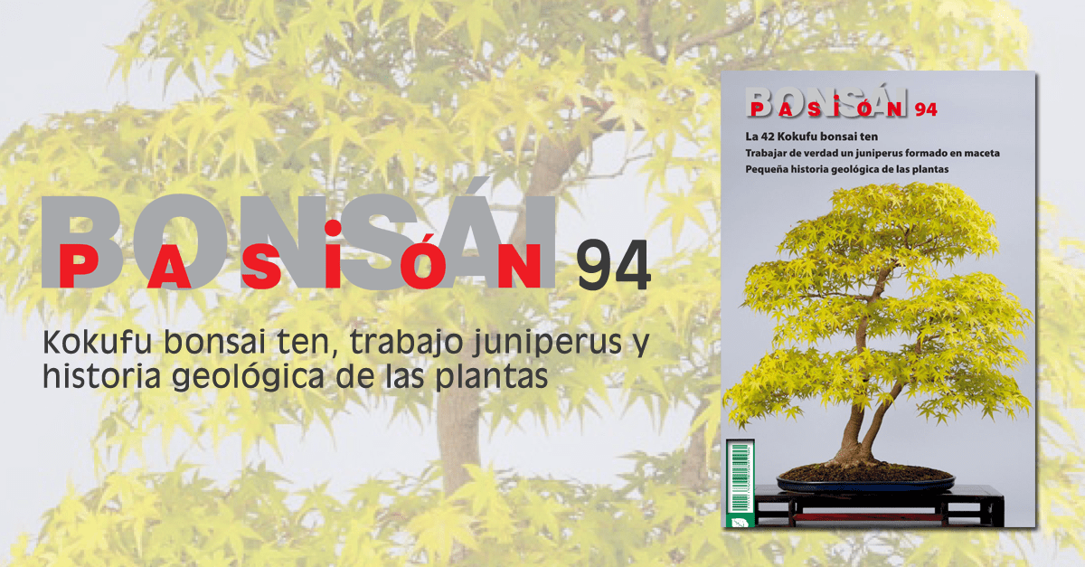 BONSAI PASION 94