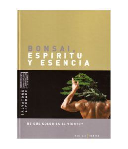 bonsai-espiritu-y-esencia