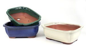 Pots à bonsaï