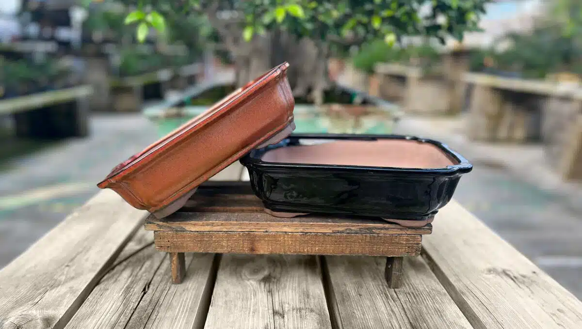 Pots à bonsaï