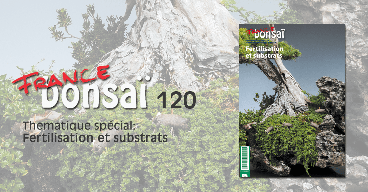 Fertiliser les Bonsaïs, être nourri est crucial pour les arbres