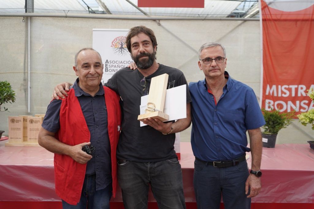 Javier Garcia Villalobos, gagnant du concours des Nouveaux Talents du Bonsaï 2019, organisé par l'Association Espagnole de Bonsaï