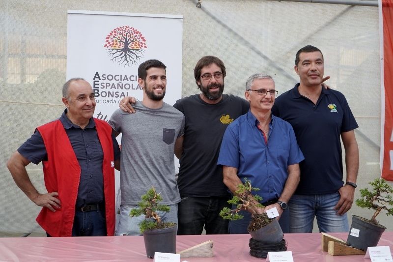 Los 3 finalistas del Concurso de Nuevos Talentos del Bonsái 2019