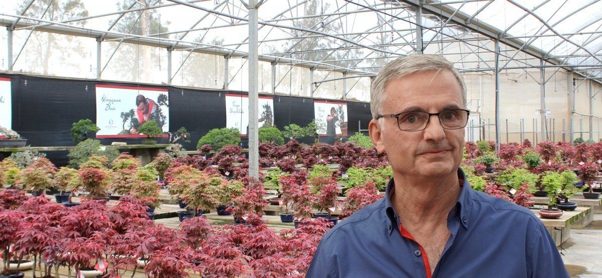 “Spanish bonsai is number one in Europe”