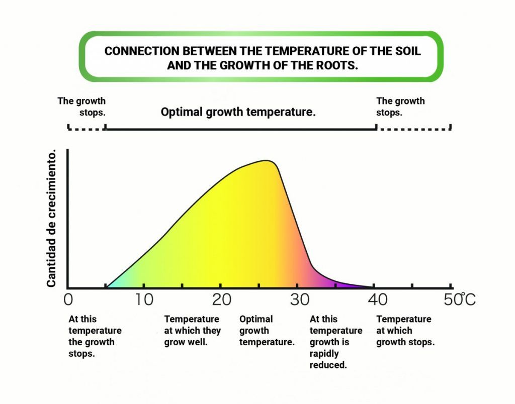 Connection between the temperature of the soil and the growth of the roots