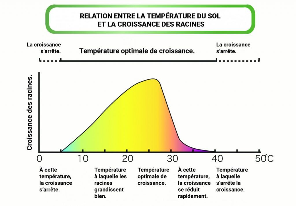 Graphique températures-racines