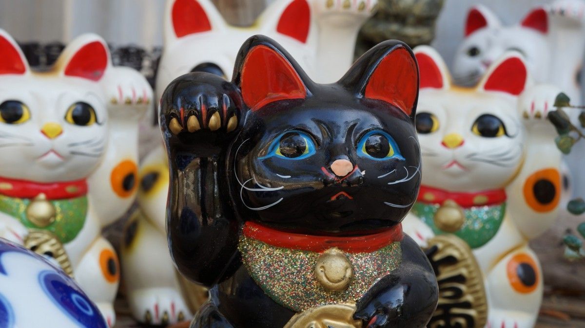 Maneki-neko, the Japanese fortune cat