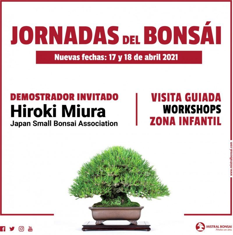Nuevas fechas para las Jornadas del Bonsái. Aplazada la visita del Maestro Hiroki Miura.