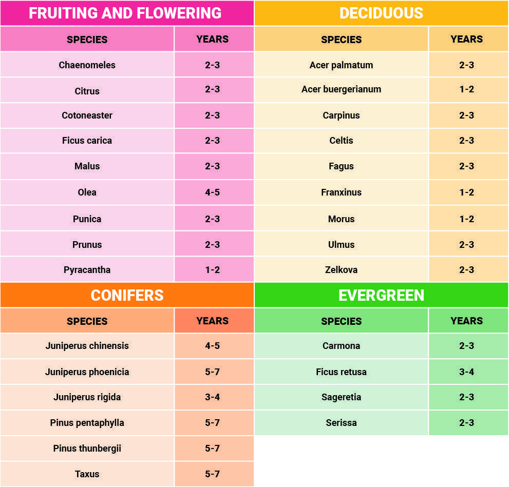 Transplanting frequency