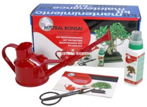 5 Christmas gift ideas for a bonsai lover