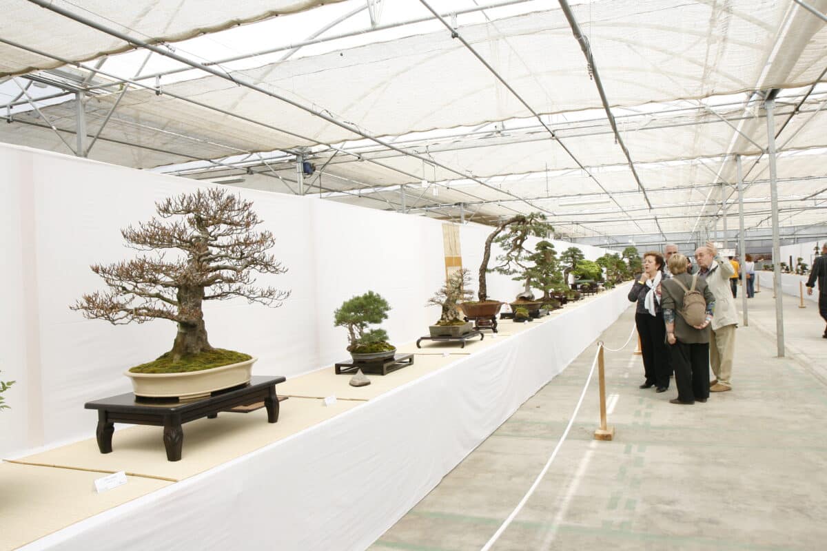 Calendrier d’événement d’exposition bonsaï 2022