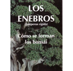 Enebro bonsái