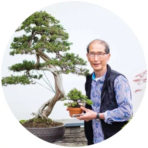 Peter Chan. Bonsai-Tage