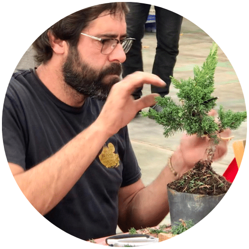 Javier Garcia. Bonsai-Tage