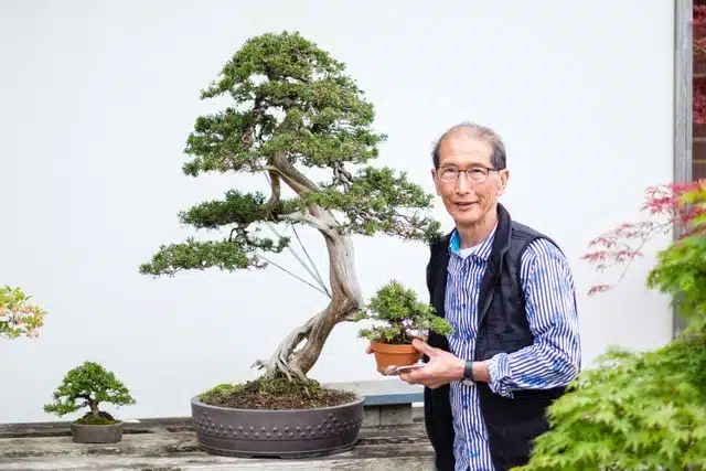 Una conversación intima con el maestro del bonsái, Peter Chan