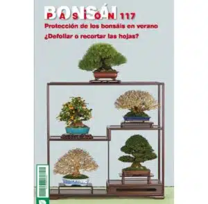 Bonsái Pasión
