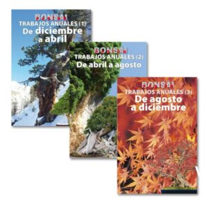 Nuestros bonsáis en verano (Parte 1)