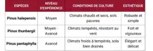 Tableau récapitulatif
