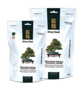 Hiryo Gold Blüten und Früchte