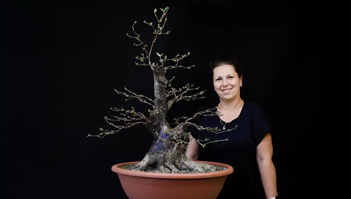 Entrevista a Anita Inásel: su camino en el mundo del bonsái