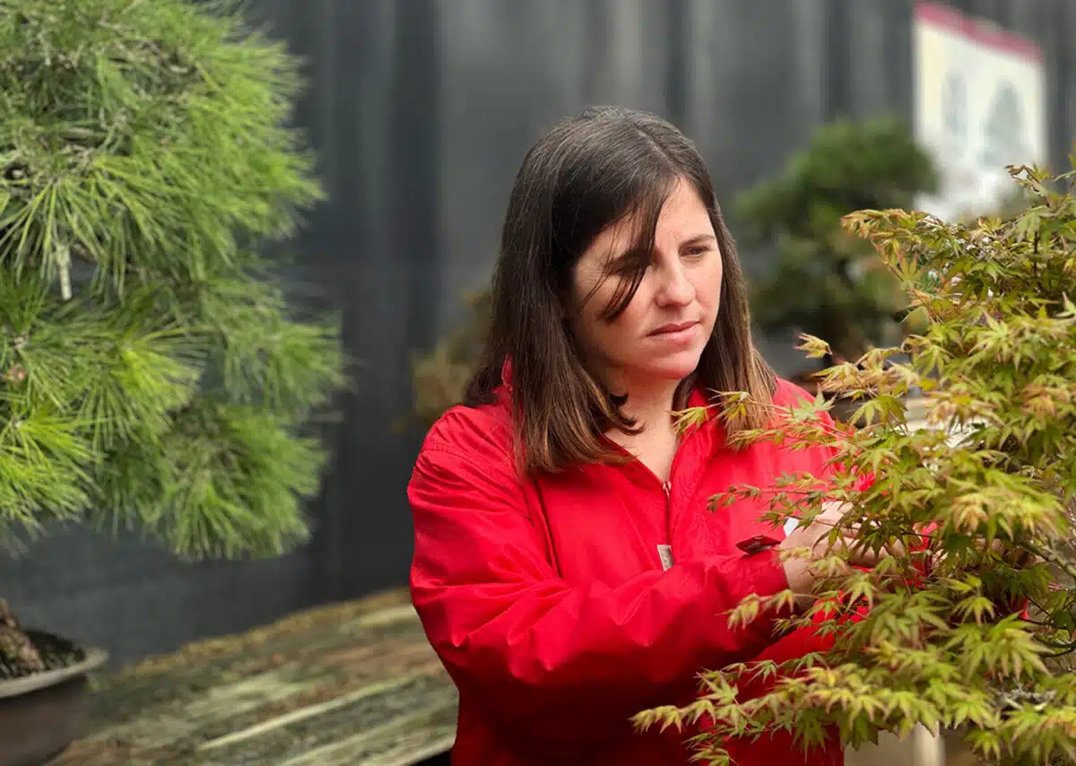 Interview with Silvia Ibañez Nubla, deputy director of Mistral Bonsai